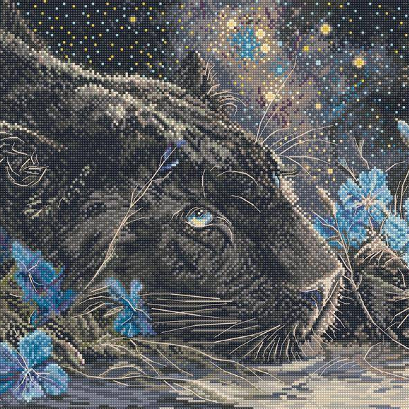 Starry Dreams Cross Stitch Kit with 16 count Zweigart aida and cotton threads