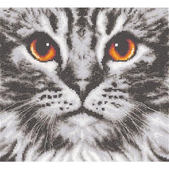 Close-up of cat cross stitch kit on 14 count white aida fabric with DMC cottons and needle