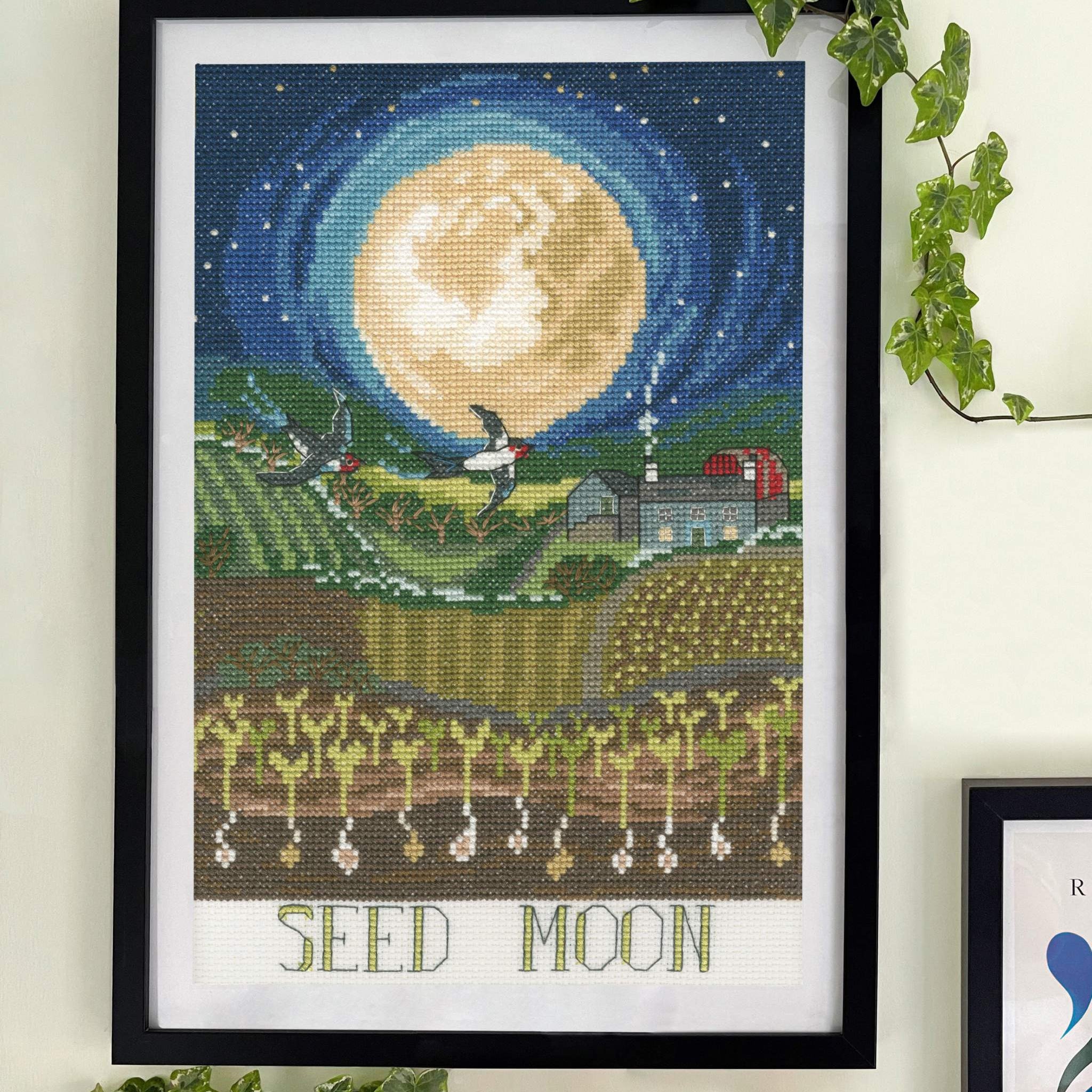 Seed Moon Cross Stitch Kit with 14 count white Aida fabric, pre-sorted cottons, needle, and instructions, featuring cross stitch, back stitch, and French knots.