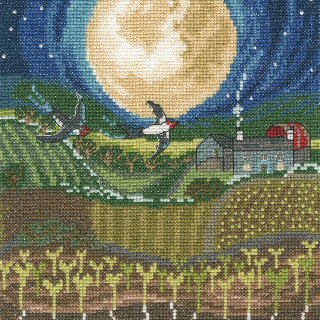 Seed Moon Cross Stitch Kit with 14 count white Aida fabric, pre-sorted cottons, needle, and stitch instructions