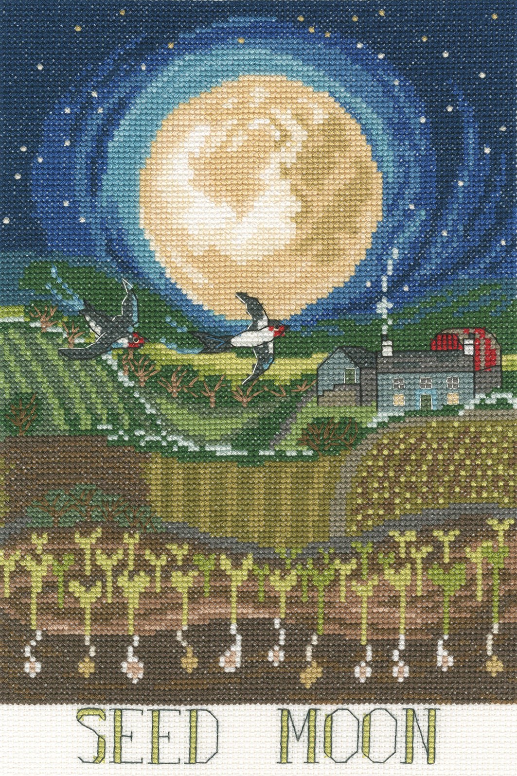 Seed Moon Cross Stitch Kit with 14 count white Aida fabric, pre-sorted cottons, needle, and stitch instructions