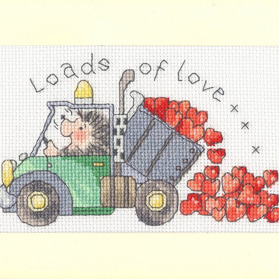 Loads Of Love greeting card cross stitch kit with 14 count Aida, cotton threads, needle, instructions, and personalization options