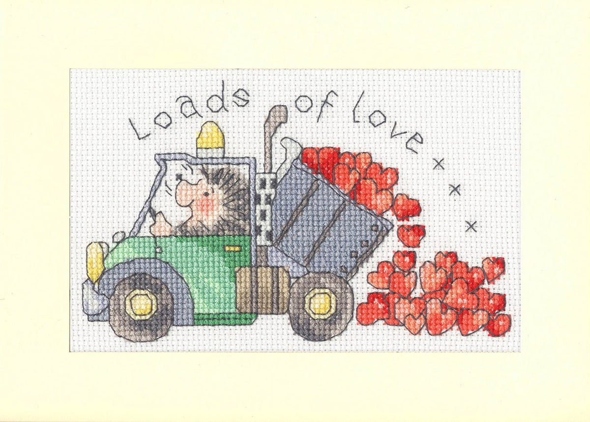 Loads Of Love greeting card cross stitch kit with 14 count Aida, cotton threads, needle, instructions, and personalization options