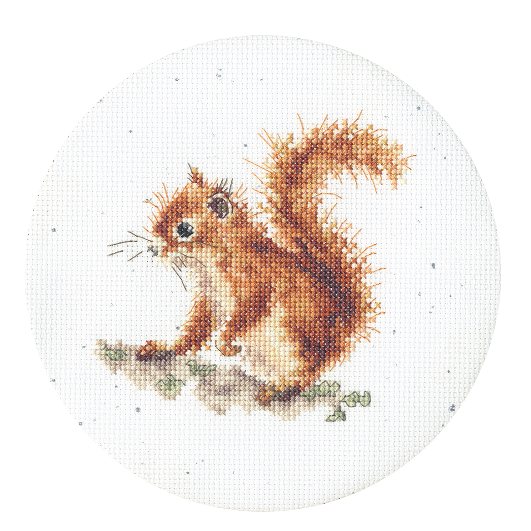 Bothy Threads Acorns Cross Stitch Kit with fabric, cottons, needle, and instructions designed by Hannah Dale