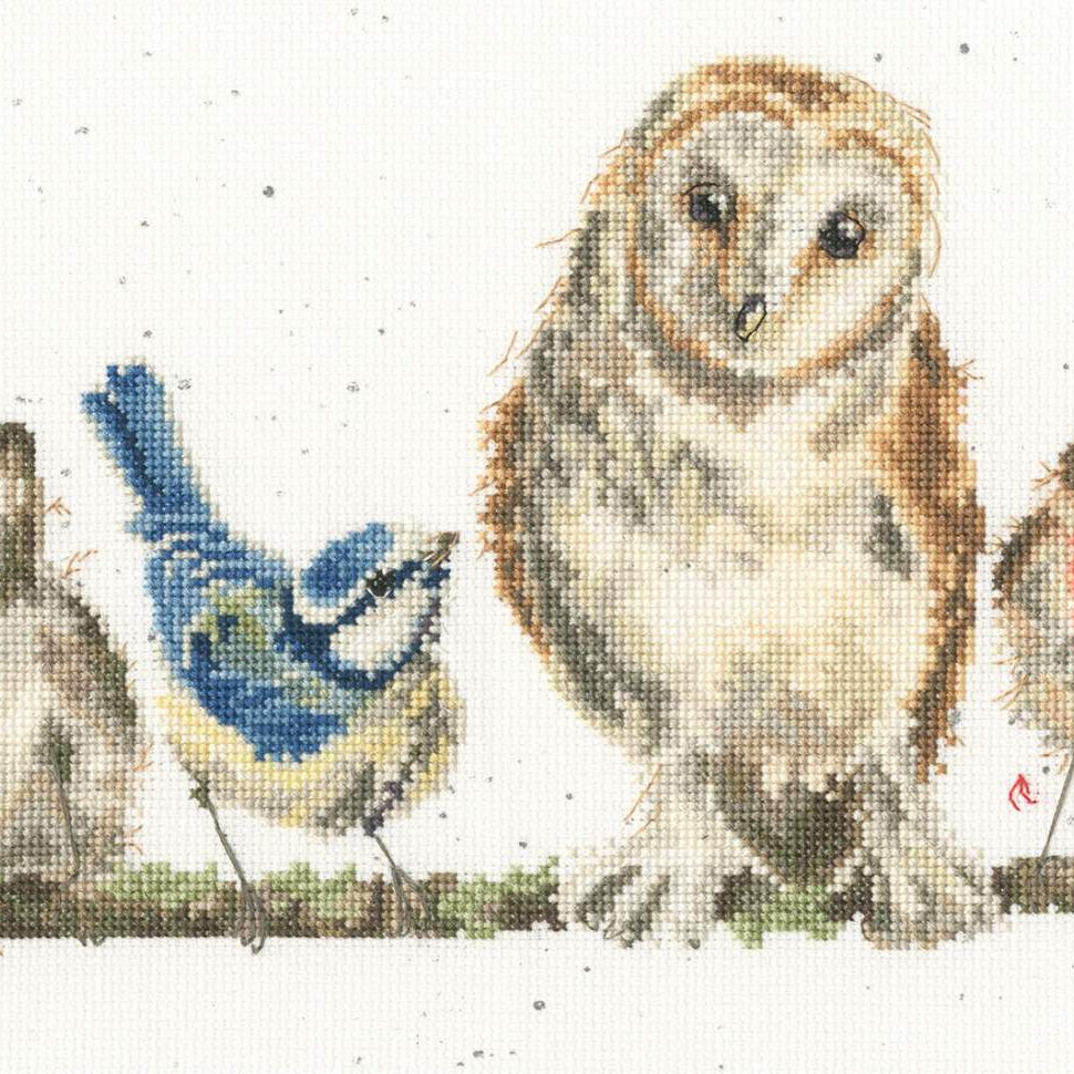 Bothy Threads Variety of Life counted cross stitch kit featuring birds with speckled Aida fabric and sparkle threads