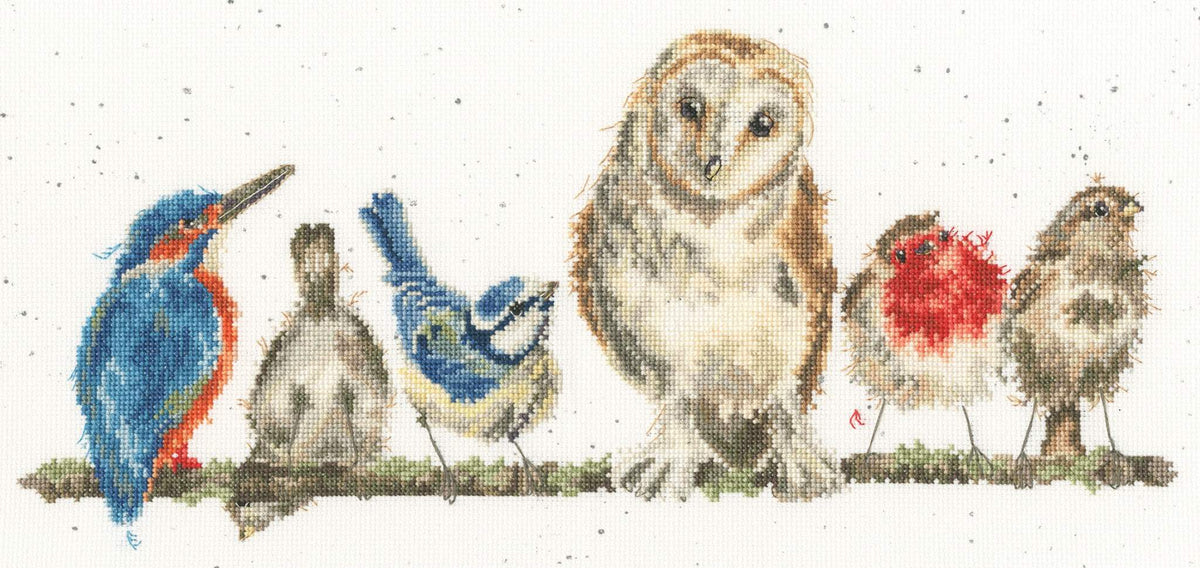 Bothy Threads Variety of Life counted cross stitch kit featuring birds with speckled Aida fabric and sparkle threads