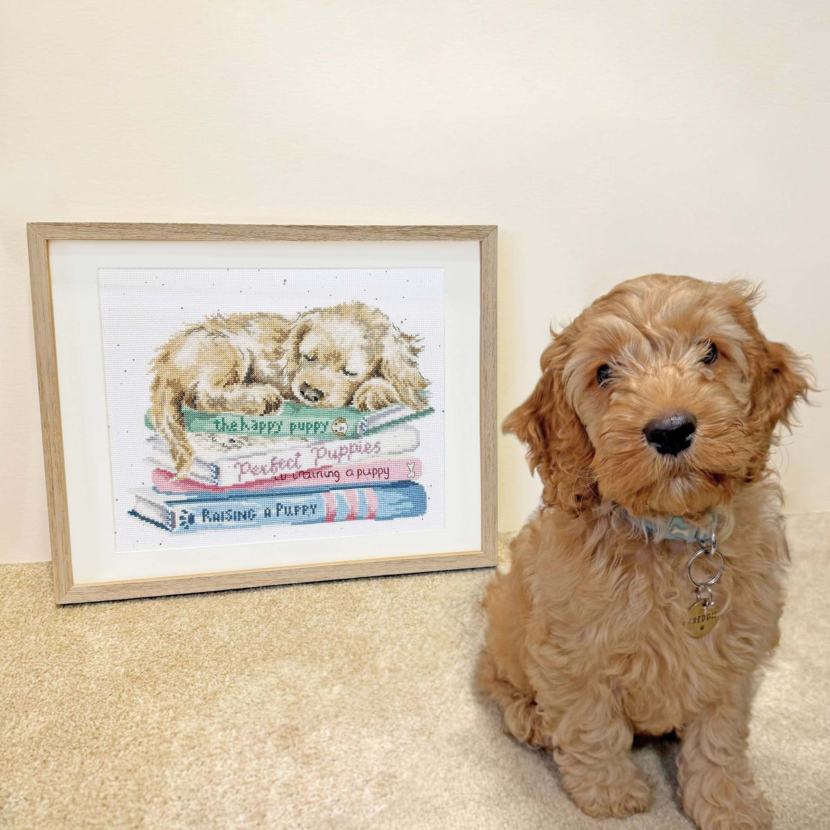 A Pup's Life Cross Stitch Kit with Zweigart fabric, stranded cottons, needle, and instructions for 14 or 28 count cross stitch project
