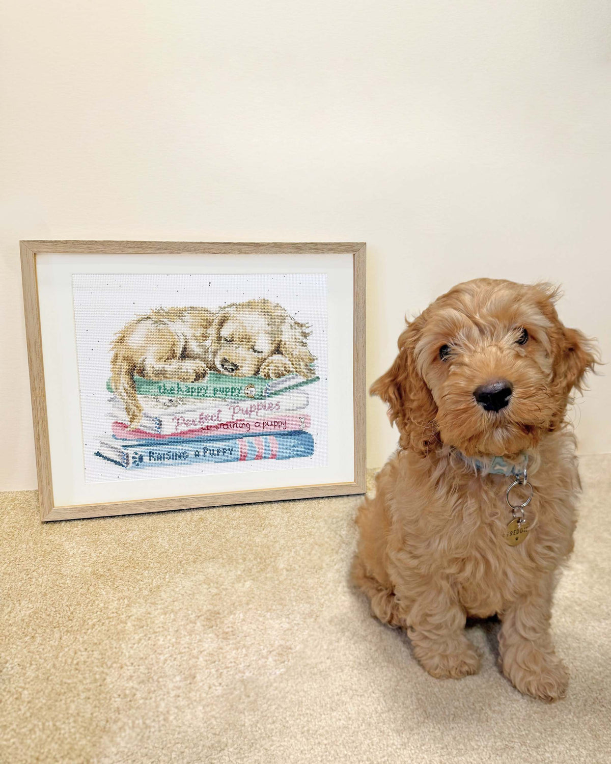 A Pup's Life Cross Stitch Kit with Zweigart fabric, stranded cottons, needle, and instructions for 14 or 28 count cross stitch project