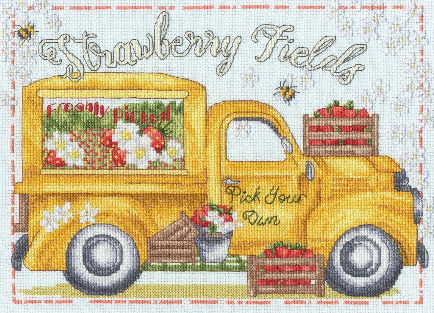 Strawberry Fields Cross Stitch Kit with 14 count ice blue Aida fabric and cotton threads