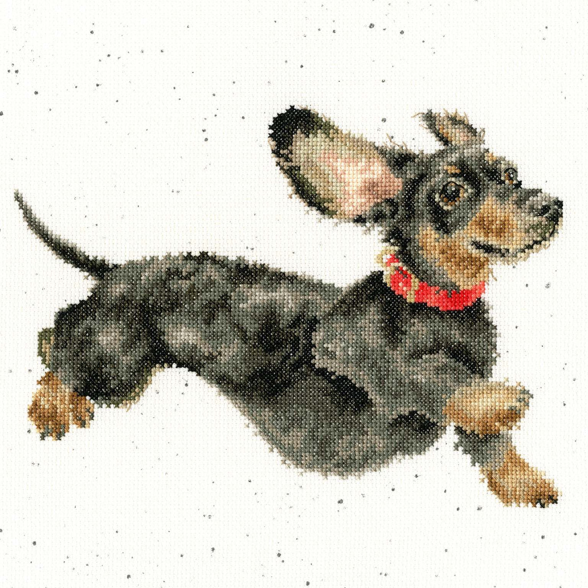 Cross stitch kit featuring a running dachshund dog with a red collar on speckled 14 count Aida fabric