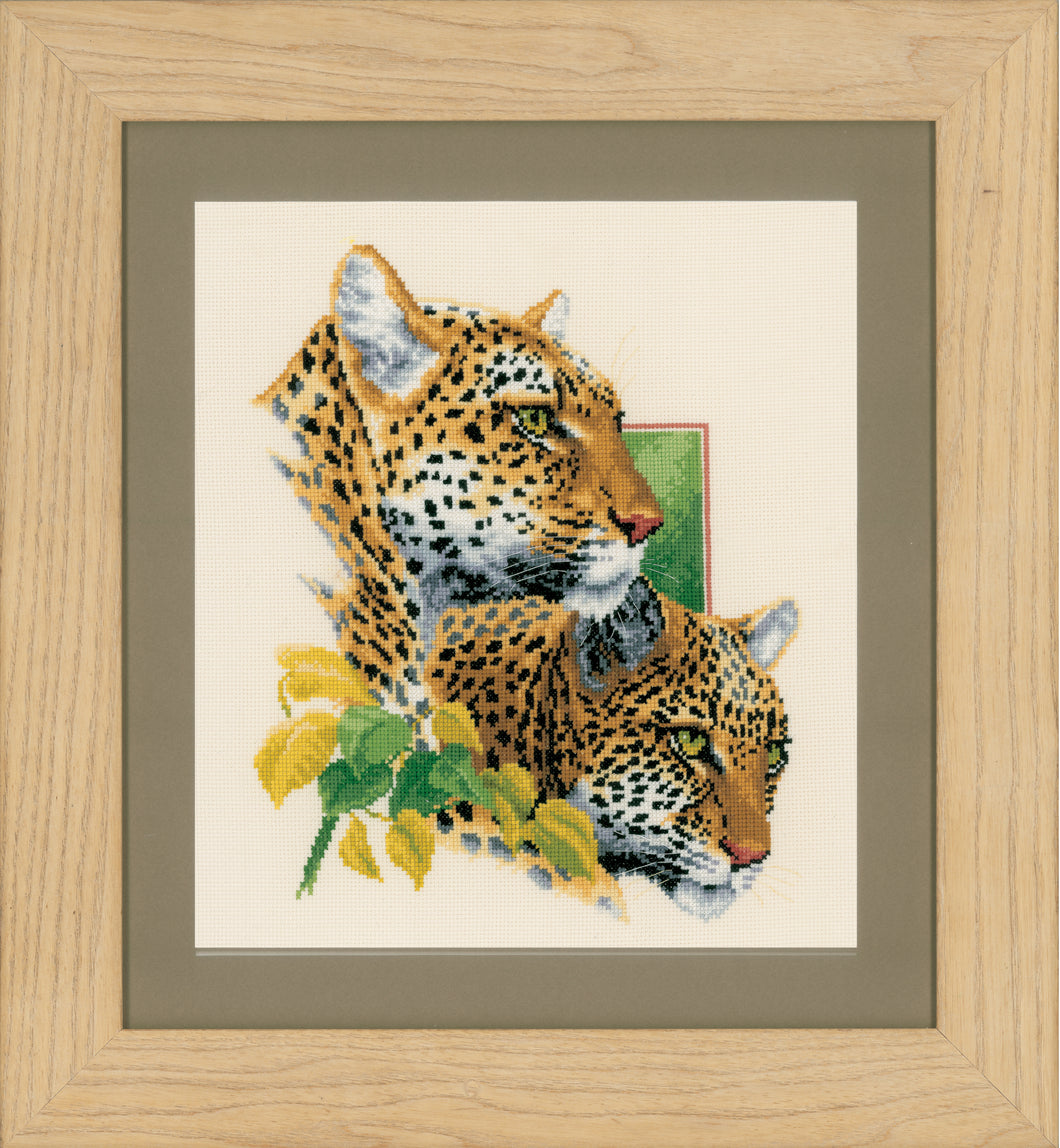 Counted Cross Stitch Kit ~ Leopard Duo