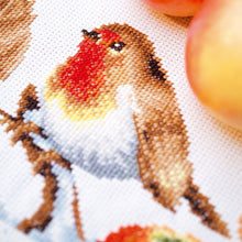 Load image into Gallery viewer, Counted Cross Stitch Kit ~ Runner Robin