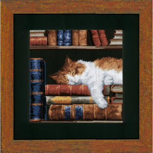 Counted Cross Stitch Kit ~ Cat Sleeping on Bookshelf