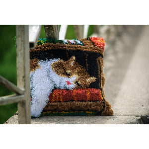 Cushion Latch Hook Kit ~ Cat Sleeping on Bookshelf
