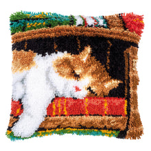 Load image into Gallery viewer, Cushion Latch Hook Kit ~ Cat Sleeping on Bookshelf