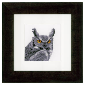 Counted Cross Stitch Kit ~ Grey Owl