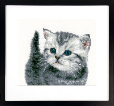 Counted Cross Stitch Kit ~ Grey Tiger Kitten