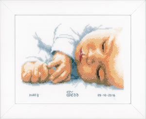 Counted Cross Stitch Kit ~ Birth Record New-Born