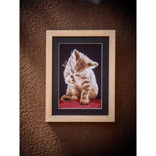 Load image into Gallery viewer, Counted Cross Stitch Kit ~ Kitten