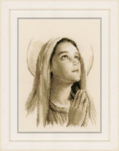 Counted Cross Stitch Kit ~ Hail Mary