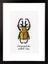 Load image into Gallery viewer, Counted Cross Stitch Kit ~ Golden Beetle
