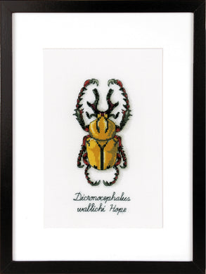 Counted Cross Stitch Kit ~ Golden Beetle