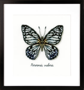 Counted Cross Stitch Kit ~ Blue Butterfly