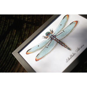 Counted Cross Stitch Kit ~ Dragonfly