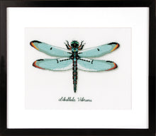 Load image into Gallery viewer, Counted Cross Stitch Kit ~ Dragonfly