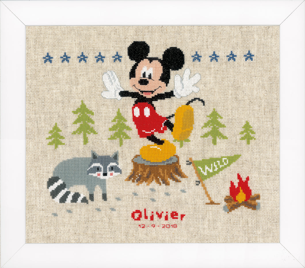 Birth Record Disney Counted Cross Stitch Kit ~ A Woodsy Adventure