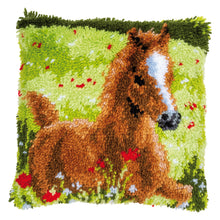 Load image into Gallery viewer, Cushion Latch Hook Kit ~ Frisky Foal