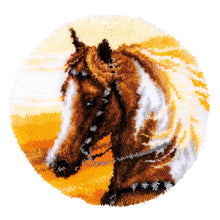 Load image into Gallery viewer, Rug Shaped Latch Hook Kit ~ Western Horse