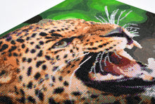 Load image into Gallery viewer, iPaint &amp; Dot Kit ~ Leopard