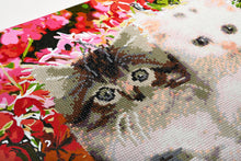 Load image into Gallery viewer, iPaint &amp; Dot Kit ~ Cats in Flowerpot