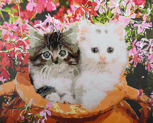 iPaint & Dot Kit ~ Cats in Flowerpot