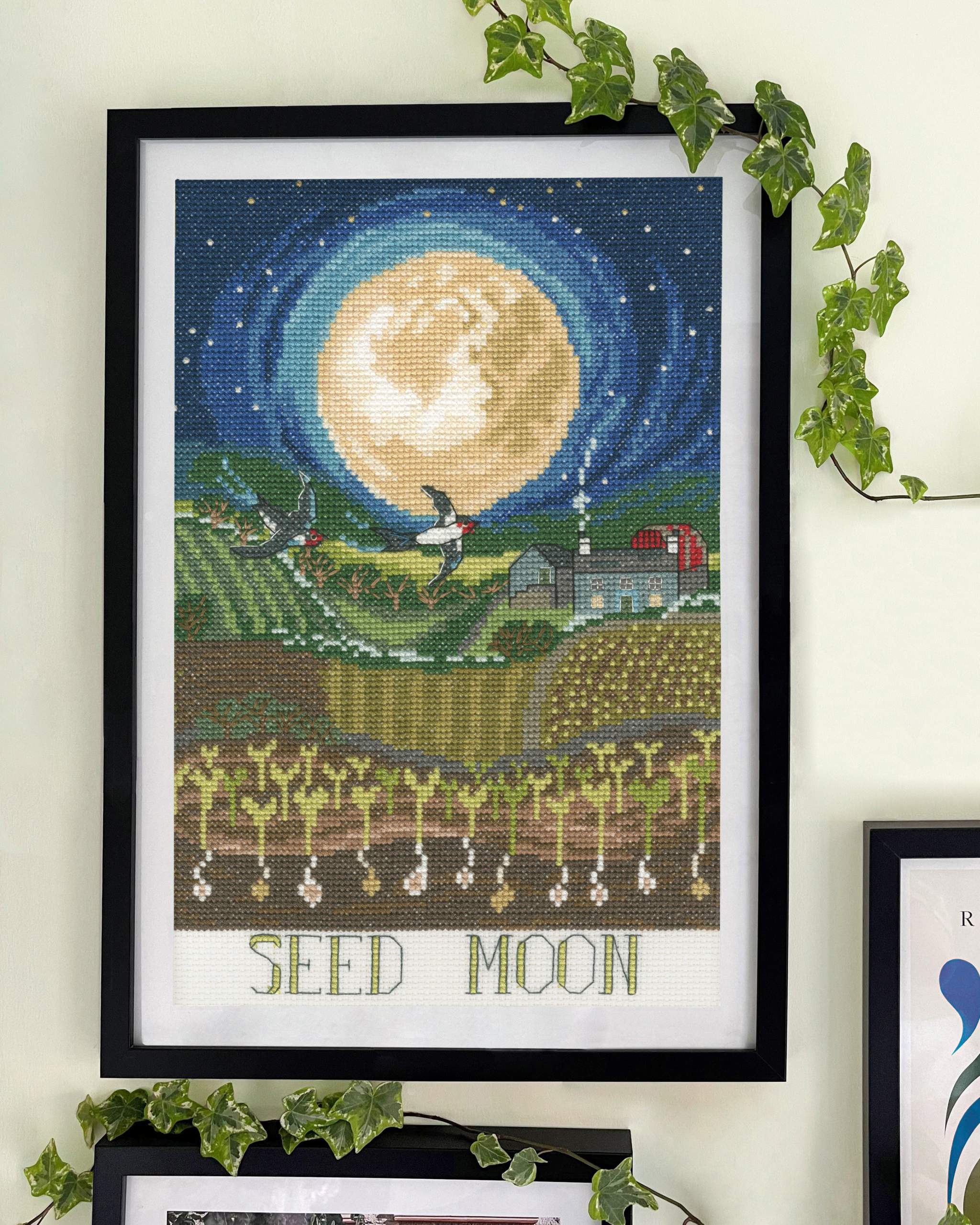 Seed Moon Cross Stitch Kit with 14 count white Aida fabric, pre-sorted cottons, needle, and instructions, featuring cross stitch, back stitch, and French knots.