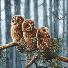 Load image into Gallery viewer, Owls Family Cross Stitch Kit