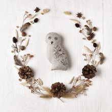 Load image into Gallery viewer, Oliver Owl - Freestyle Friends Embroidery Kit