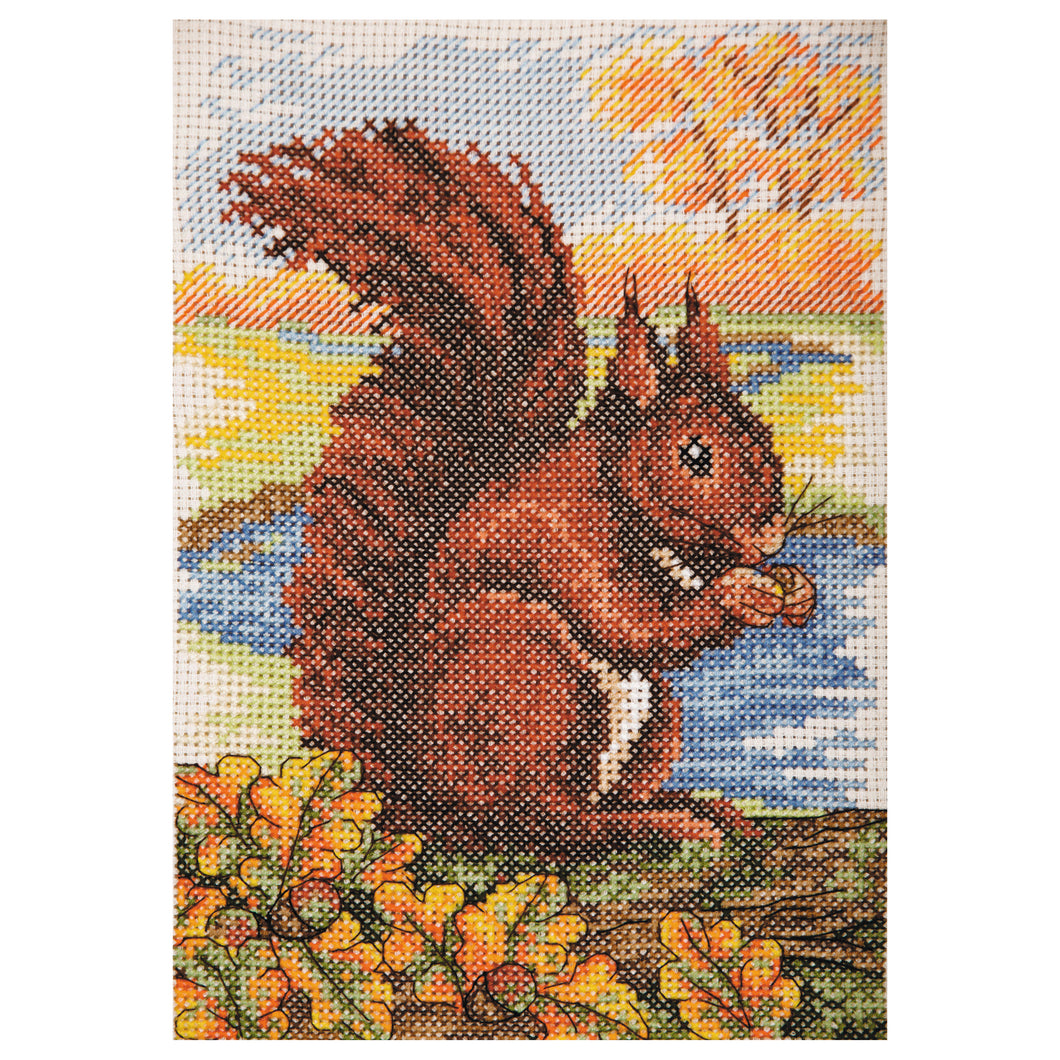 Red Squirrel Cross Stitch Kit