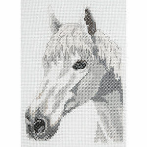 White Beauty (Horse) Starter Cross Stitch Kit