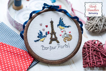 Load image into Gallery viewer, JANUARY Bird Travellers Anchor Stitch Along Cross Stitch &quot;Kit&quot;
