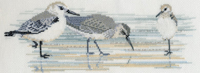 Birds - Waders Cross Stitch Kit