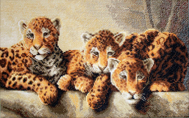 Leopards Cross Stitch Kit