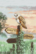 Load image into Gallery viewer, Barn Owl Cross Stitch Kit