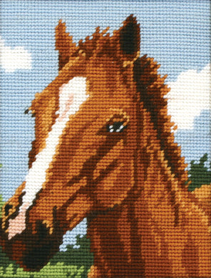 Brown Horse Tapestry Kit