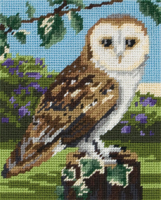 Owl Tapestry Kit
