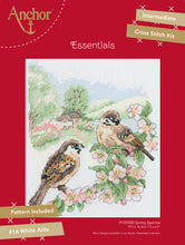 Load image into Gallery viewer, Spring Sparrow Cross Stitch Kit