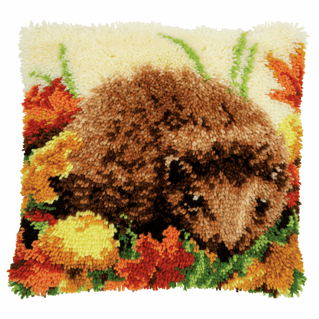Hedgehog - Latch Hook Cushion Front Kit