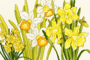 Daffodil Blooms Cross Stitch Kit