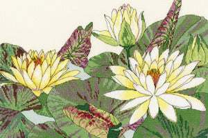 Water Lily Blooms Cross Stitch Kit
